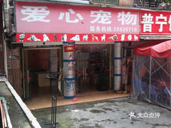 深圳龙岗宠物店，都市中的宠物乐园